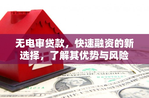 大埤无电审贷款，快速融资的新选择，了解其优势与风险