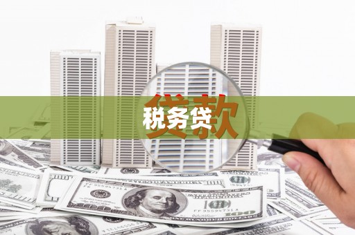 大埤税务贷
