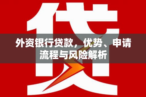 大埤外资银行贷款，优势、申请流程与风险解析