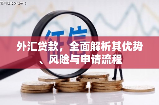 大埤外汇贷款，全面解析其优势、风险与申请流程