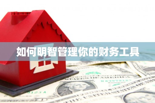 大埤如何明智管理你的财务工具