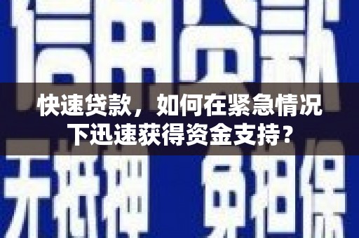大埤快速贷款，如何在紧急情况下迅速获得资金支持？
