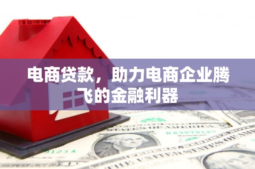大埤电商贷款，助力电商企业腾飞的金融利器