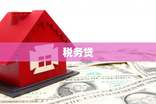 大埤税务贷