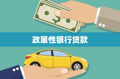 大埤政策性银行贷款