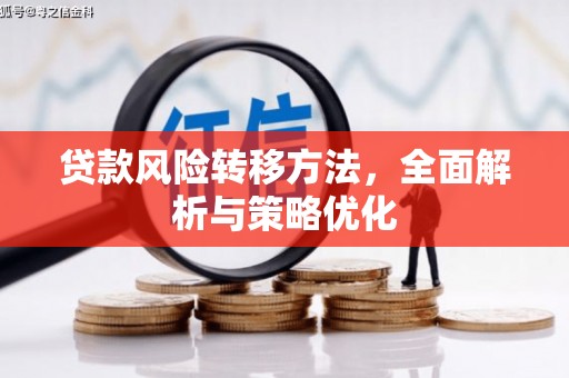 大埤贷款风险转移方法，全面解析与策略优化