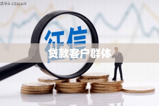 大埤贷款客户群体