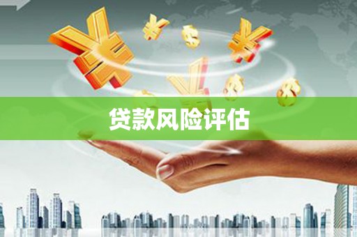 大埤贷款风险评估