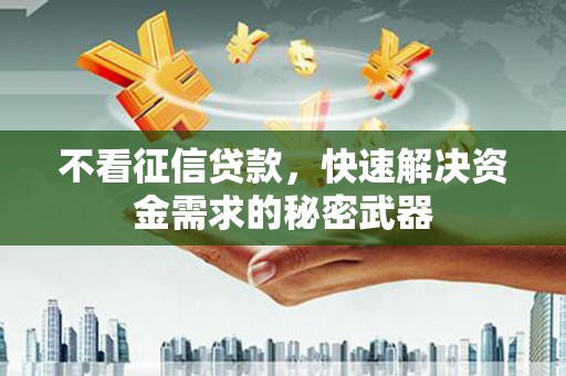 大埤不看征信贷款，快速解决资金需求的秘密武器