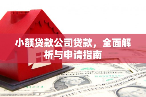 大埤小额贷款公司贷款，全面解析与申请指南
