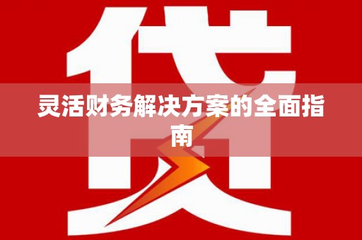 大埤灵活财务解决方案的全面指南