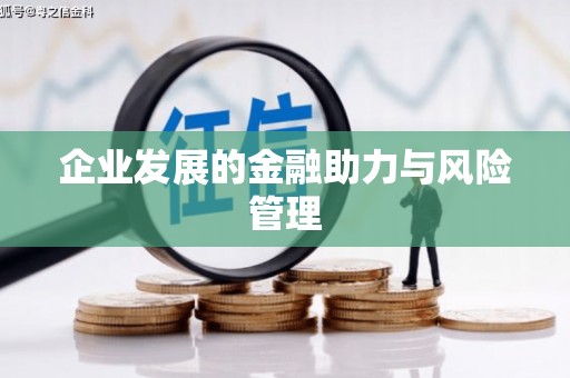 大埤企业发展的金融助力与风险管理