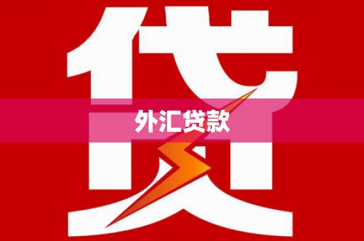 大埤外汇贷款