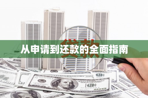 大埤从申请到还款的全面指南