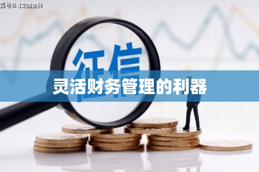 大埤灵活财务管理的利器