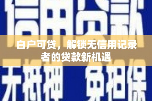 大埤白户可贷，解锁无信用记录者的贷款新机遇