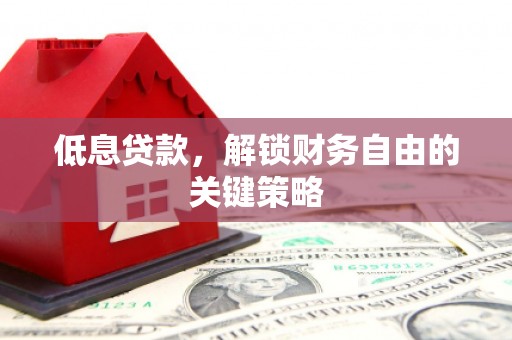 大埤低息贷款，解锁财务自由的关键策略