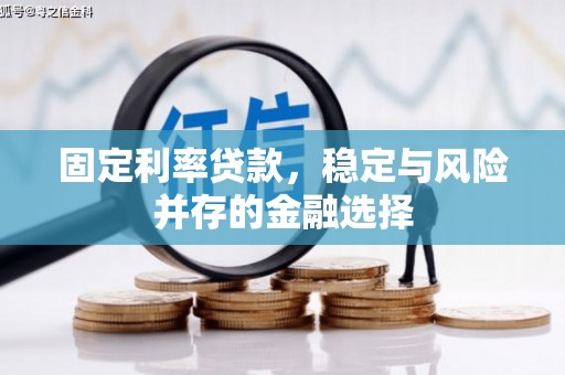 大埤固定利率贷款，稳定与风险并存的金融选择