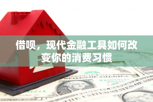 大埤借呗，现代金融工具如何改变你的消费习惯