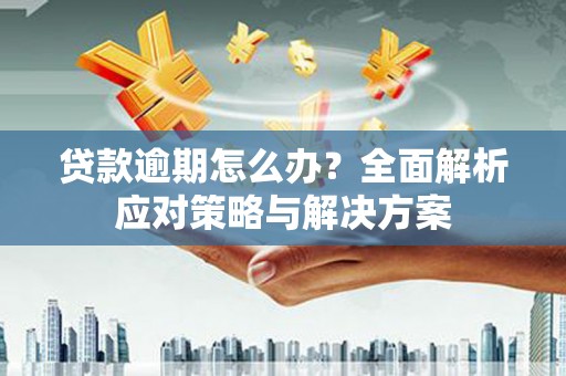 大埤贷款逾期怎么办？全面解析应对策略与解决方案