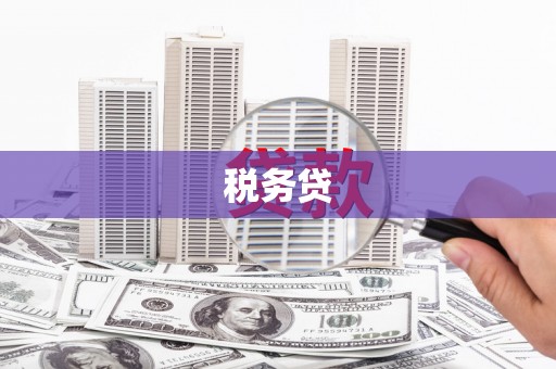 大埤税务贷