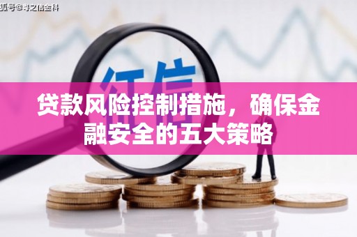 大埤贷款风险控制措施，确保金融安全的五大策略