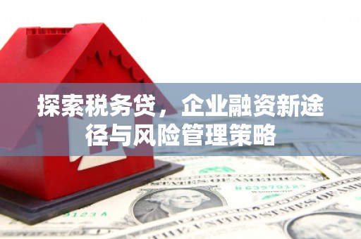 大埤探索税务贷，企业融资新途径与风险管理策略