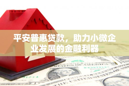 大埤平安普惠贷款，助力小微企业发展的金融利器