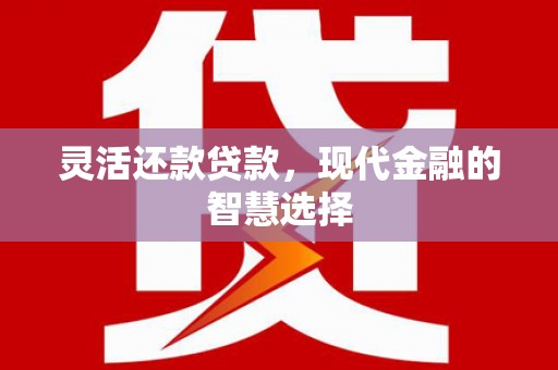 大埤灵活还款贷款，现代金融的智慧选择
