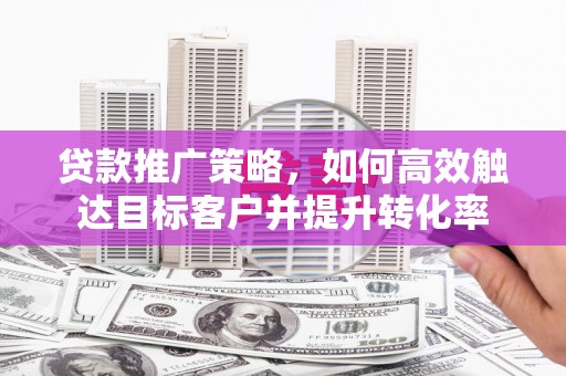 大埤贷款推广策略，如何高效触达目标客户并提升转化率