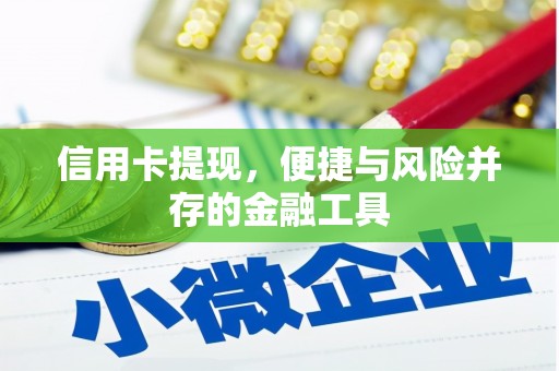 大埤信用卡提现，便捷与风险并存的金融工具