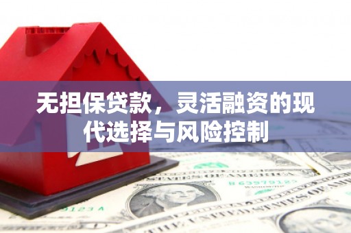 大埤无担保贷款，灵活融资的现代选择与风险控制