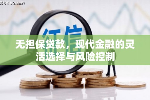 大埤无担保贷款，现代金融的灵活选择与风险控制