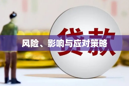 大埤风险、影响与应对策略