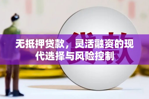 大埤无抵押贷款，灵活融资的现代选择与风险控制