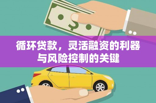 大埤循环贷款，灵活融资的利器与风险控制的关键