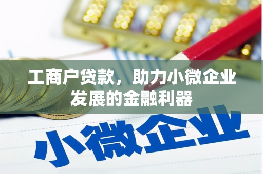 大埤工商户贷款，助力小微企业发展的金融利器