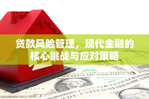 大埤贷款风险管理，现代金融的核心挑战与应对策略