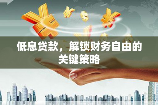 大埤低息贷款，解锁财务自由的关键策略