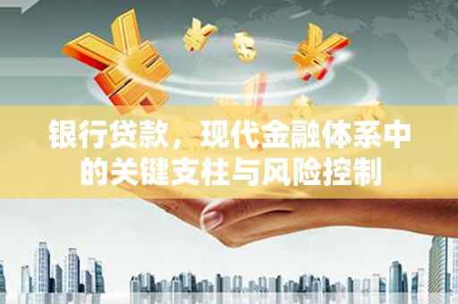 大埤银行贷款，现代金融体系中的关键支柱与风险控制