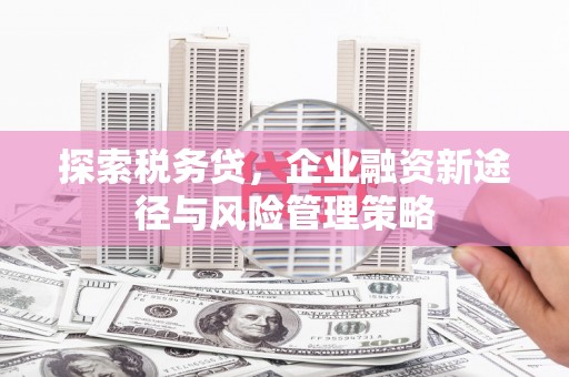 大埤探索税务贷，企业融资新途径与风险管理策略