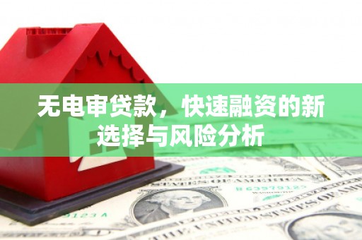 大埤无电审贷款，快速融资的新选择与风险分析