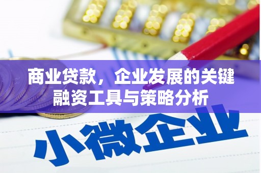 大埤商业贷款，企业发展的关键融资工具与策略分析