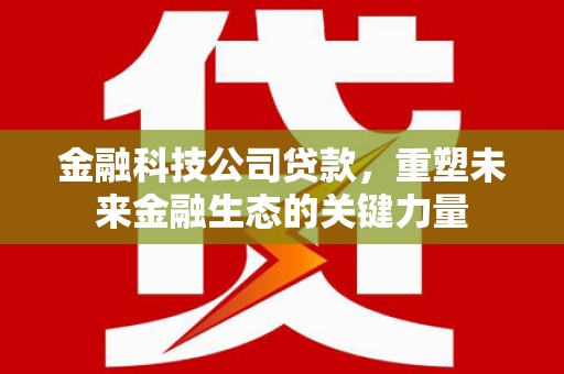 大埤金融科技公司贷款，重塑未来金融生态的关键力量