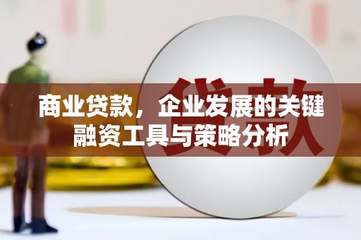 大埤商业贷款，企业发展的关键融资工具与策略分析