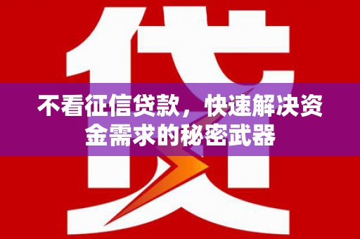 大埤不看征信贷款，快速解决资金需求的秘密武器