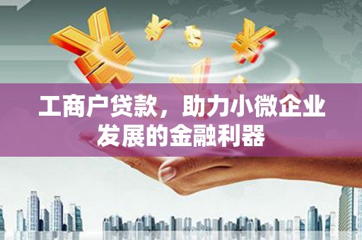 大埤工商户贷款，助力小微企业发展的金融利器