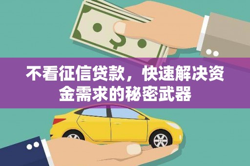 大埤不看征信贷款，快速解决资金需求的秘密武器