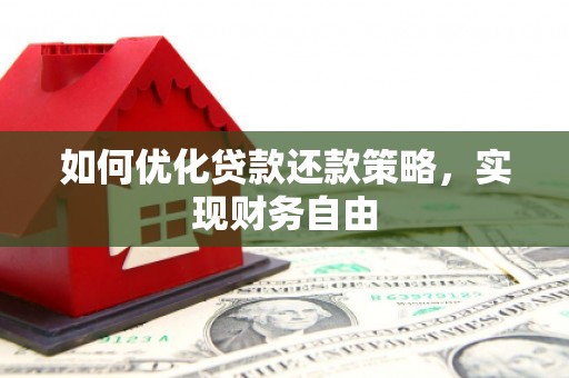 大埤如何优化贷款还款策略，实现财务自由