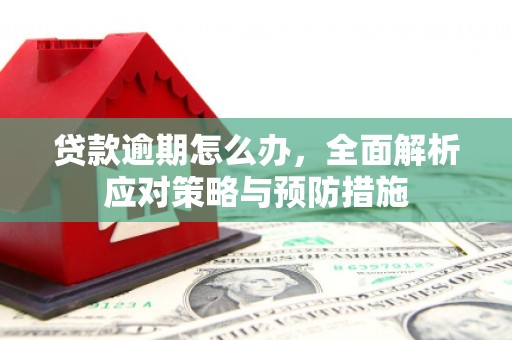 大埤贷款逾期怎么办，全面解析应对策略与预防措施